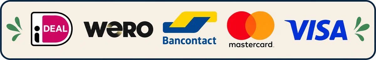 iDEAL, Wero, Bancontact, Mastercard en Visa